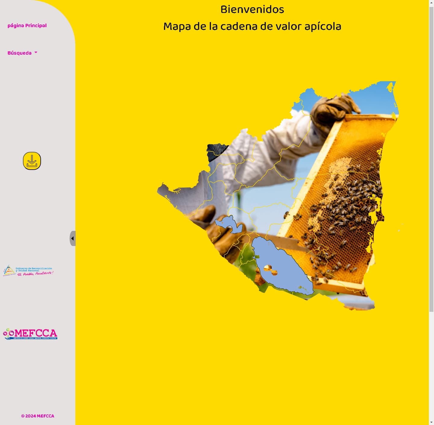 First image of your project