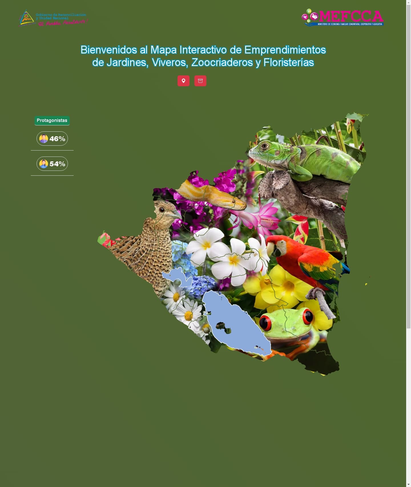 First image of your project